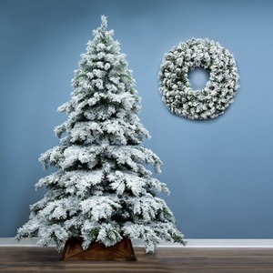 The Snow White Fir Tree