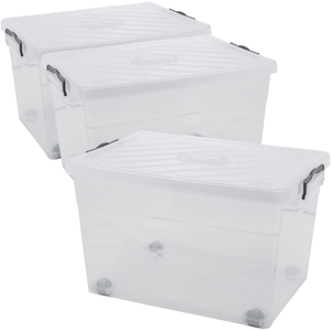  shot 10831071