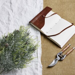Frosted Pine Spray With Pinecones