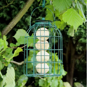 Suet Ball Bird Feeder