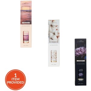 Contemporary Reed Diffuser