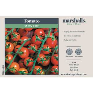 Marshalls Garden Cherry Baby Tomato Seeds - High-Yield Ruby-Red, 20 Seeds