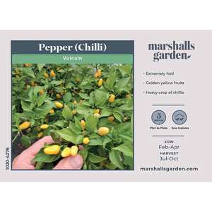 Marshalls Garden Chilli Seeds 'Vulcain' Capsicum annuum - 10 Seeds, Compact for Pots & Greenhouses