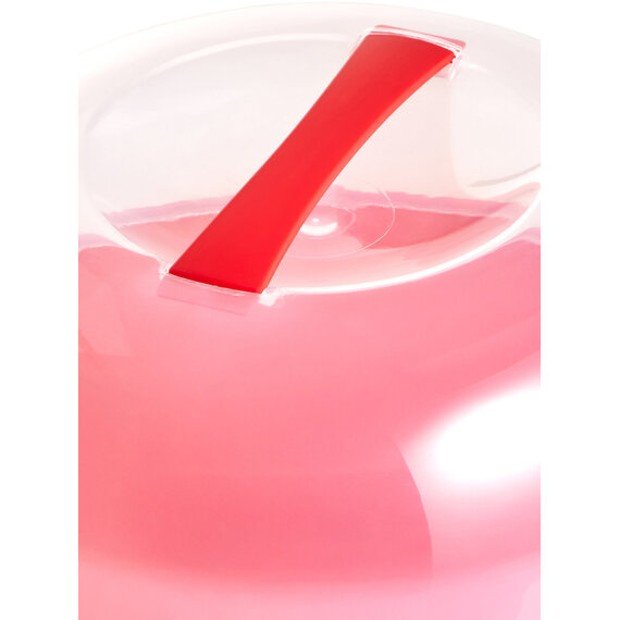Hallie 29cm Red Cake Storage Carrier with Handle