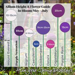  shot 15199359