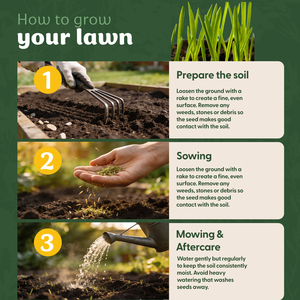 Foris Fast Growing Lawn Seed 2.8kg - Overseeding Coverage Up to 186m²
