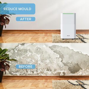  shot 16355674