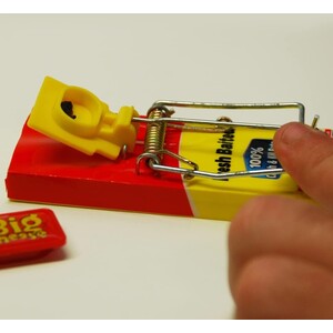 STV Fresh Baited Mouse Trap