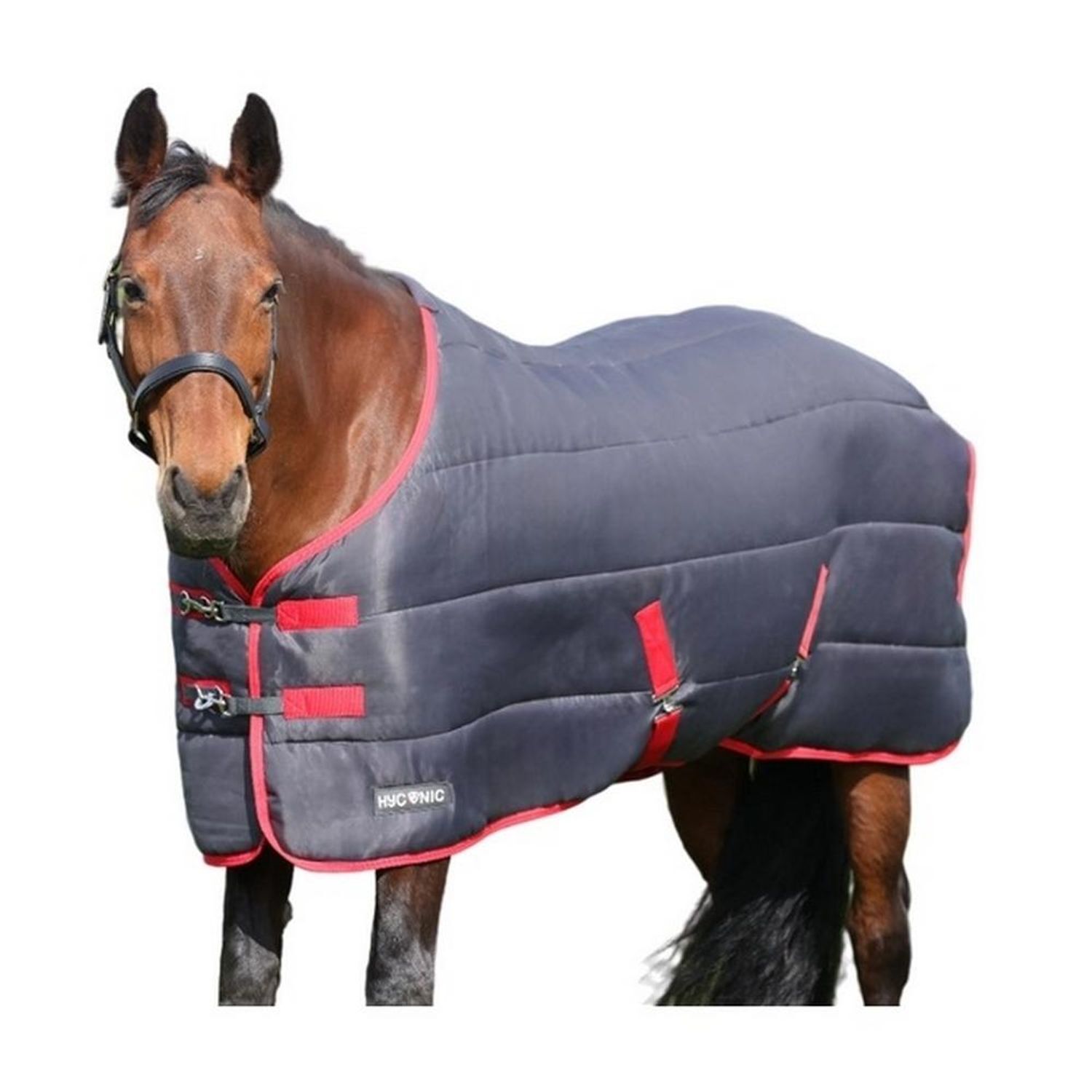 Hyconic Standard-Neck 250G Horse Stable Rug A - Charcoal/Red
