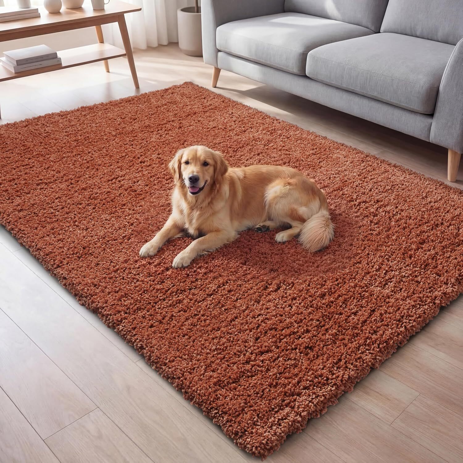 Ruglenza Galaxy Shaggy Rug - Terracotta / 230Cm
