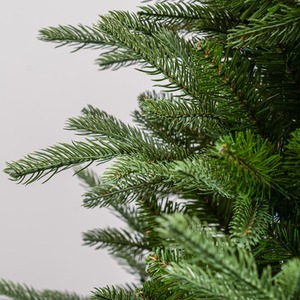  shot 6088241