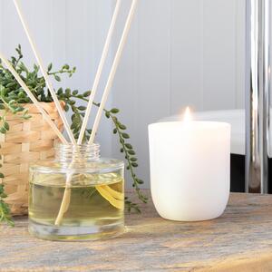 White Soy Wax Scented Candle - 130g - Coconut  Lime