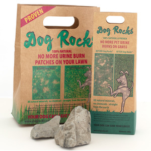Dog Rocks