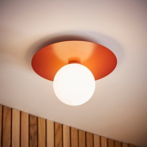 Darla Frosted Globe Bathroom Flush Ceiling Light