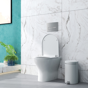 Back To Wall Toilet Soft Close Seat Pan WC 490*364*400