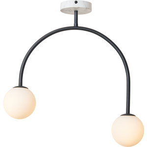 Darl 2 Light Black Modern Ceiling Light