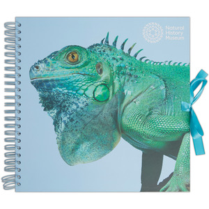 Natural History Museum Wiro Bound Hardback Scrapbook, Iguana, 12
