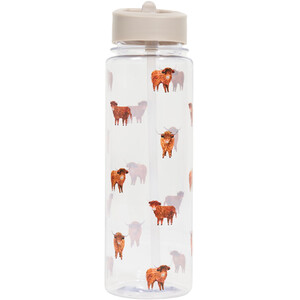Highland Cow Sports Water Bottle