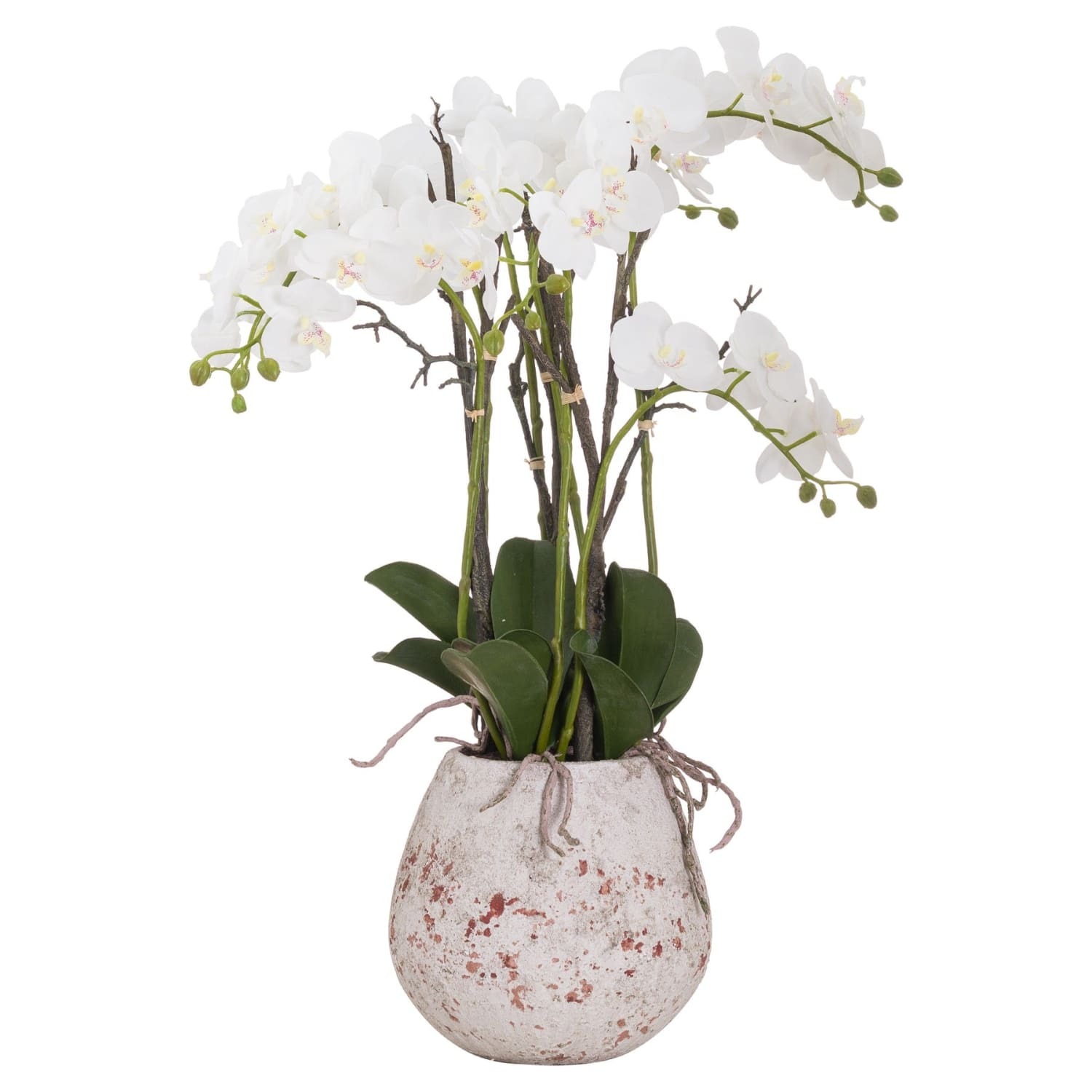 Wyld Haus Large Artificial White Orchid in Rustic Stone Pot with Aerial Roots - White