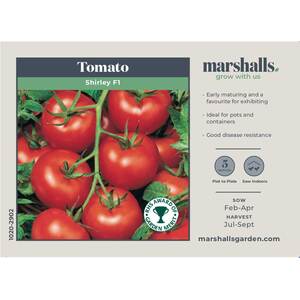 Marshalls Garden Shirley F1 Cordon Tomato Seeds - RHS Award of Garden Merit