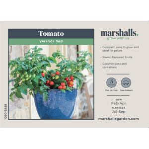 Marshalls Garden Veranda Red Dwarf Tomato Seeds 10-Pack - Patio and Pot Variety