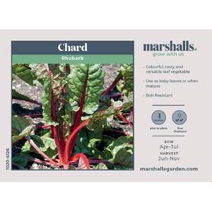 Marshalls Garden Swiss Chard 'Rhubarb' Seeds - RHS Award of Garden Merit