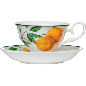 Orchard Fruits Orange Grove Cup And Saucer