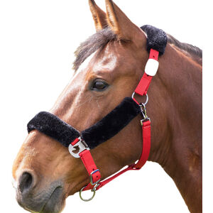 Shires Fleece Lined Horse Headcollar