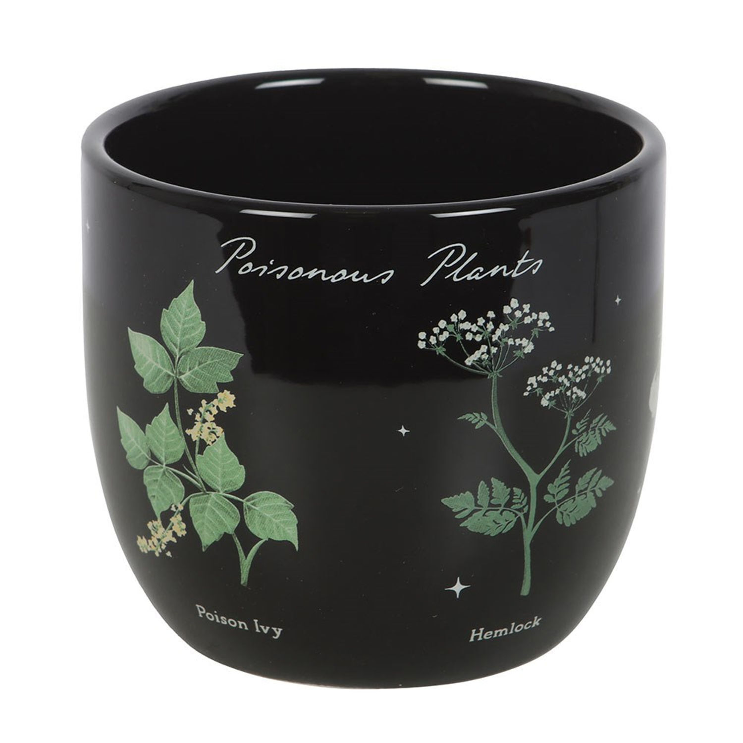 Something Different Poisonous Plants Plant Pot - Black