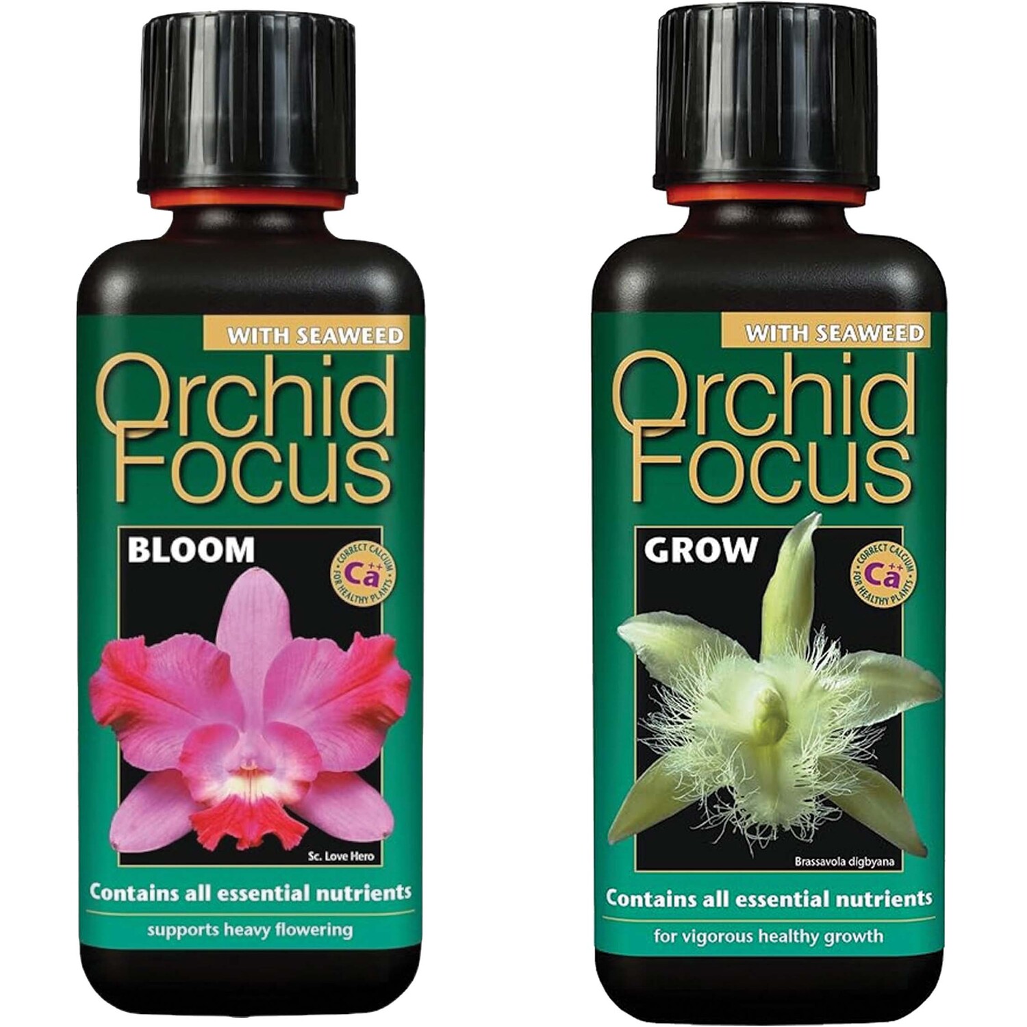 Orchid Focus Grow and Bloom Urea Free Fertiliser Healthy Orchid Growth 300ml - Image 2