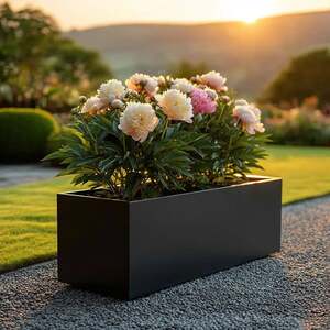  shot 21865974