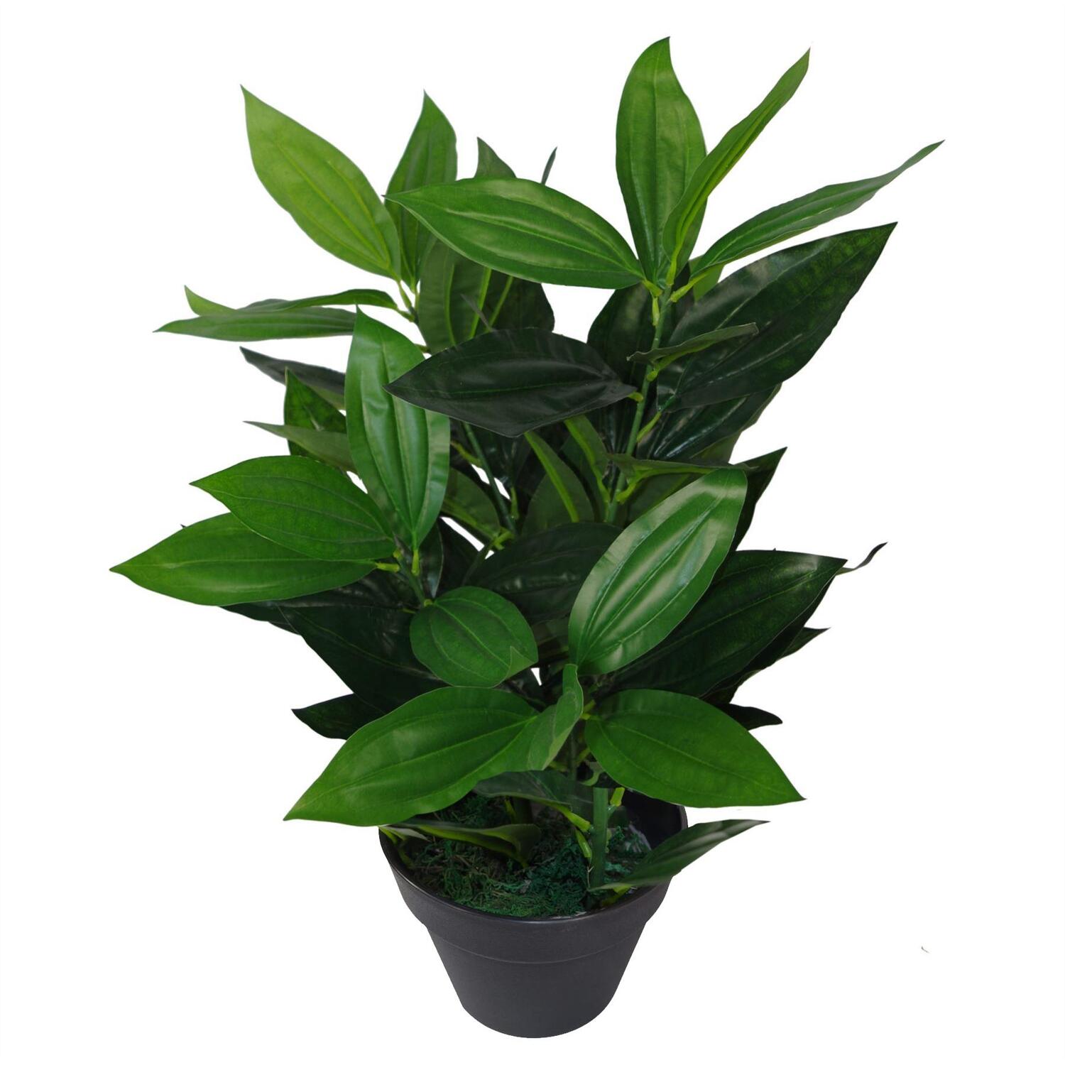 B&Q -  70Cm Large Bushy Artificial Evergreen House Plant - Image 7