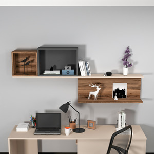 Akser Wall Mounted Shelving Unit