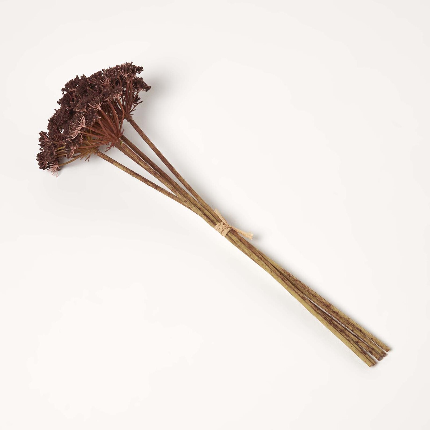 Burgundy Cow Parsley Single Stem Set of 5 - Burgundy