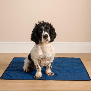  shot 5422188