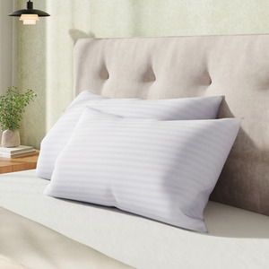 2 Pack Polyester Striped Pillow Inserts