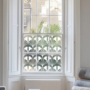 Aggius Privacy Frosted Window Film.