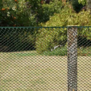  shot 9712051