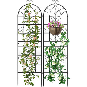 2 Pack Decorative Outdoor Trellis
