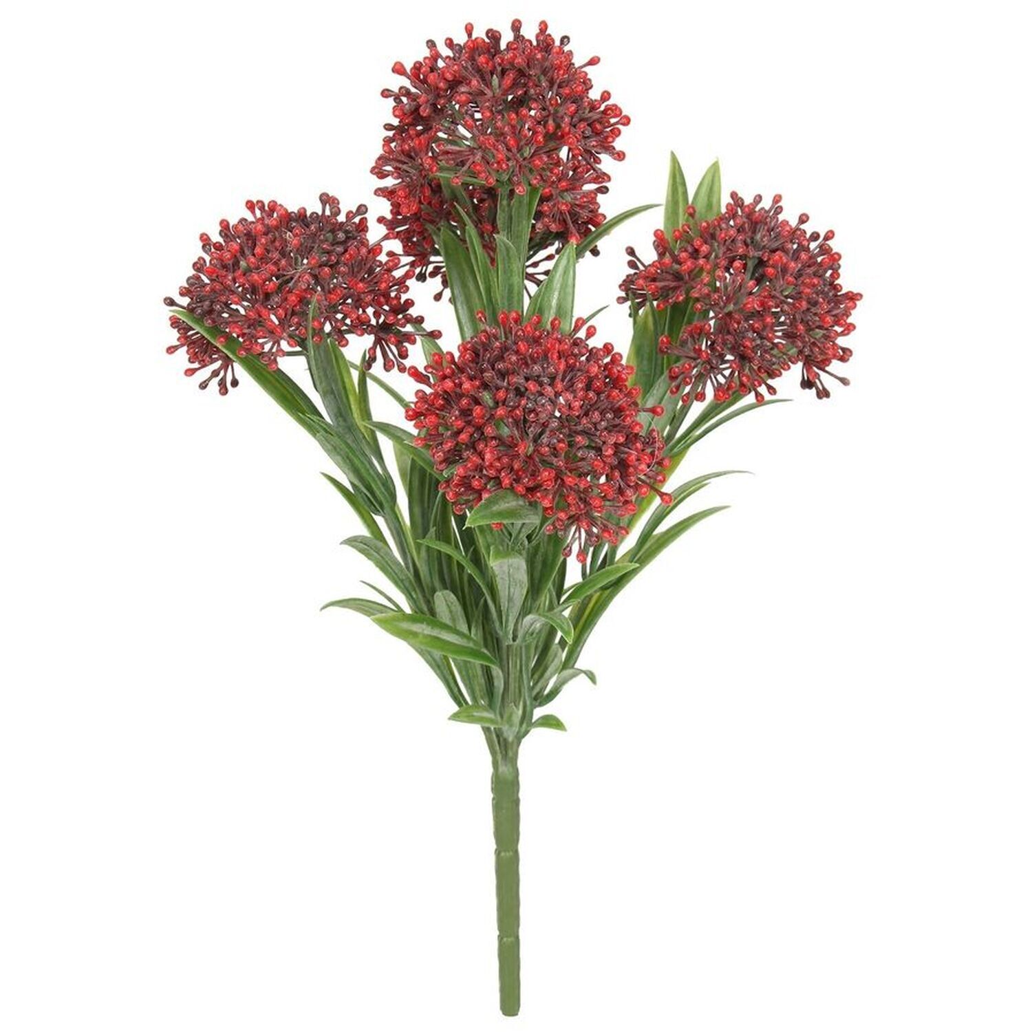UV Indoor, Outdoor Everlast Skimmia Plant - Red