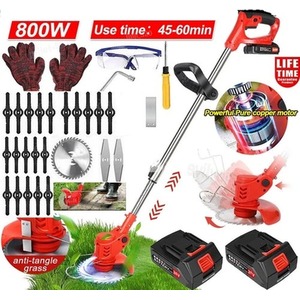 21V Cordless Grass Trimmer with 2 Batteries