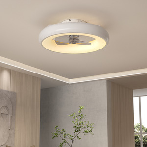 22-Inch Modern Ceiling Fan Light with Reversible Blades