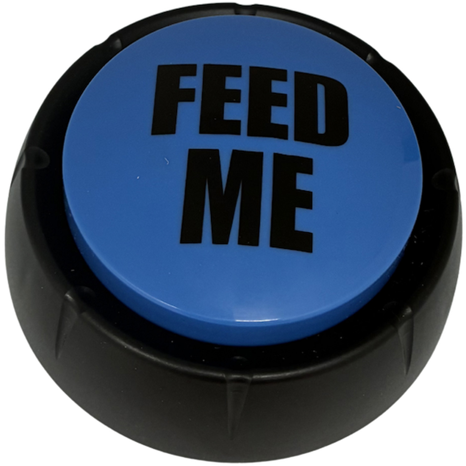 Feed Me Buzzer