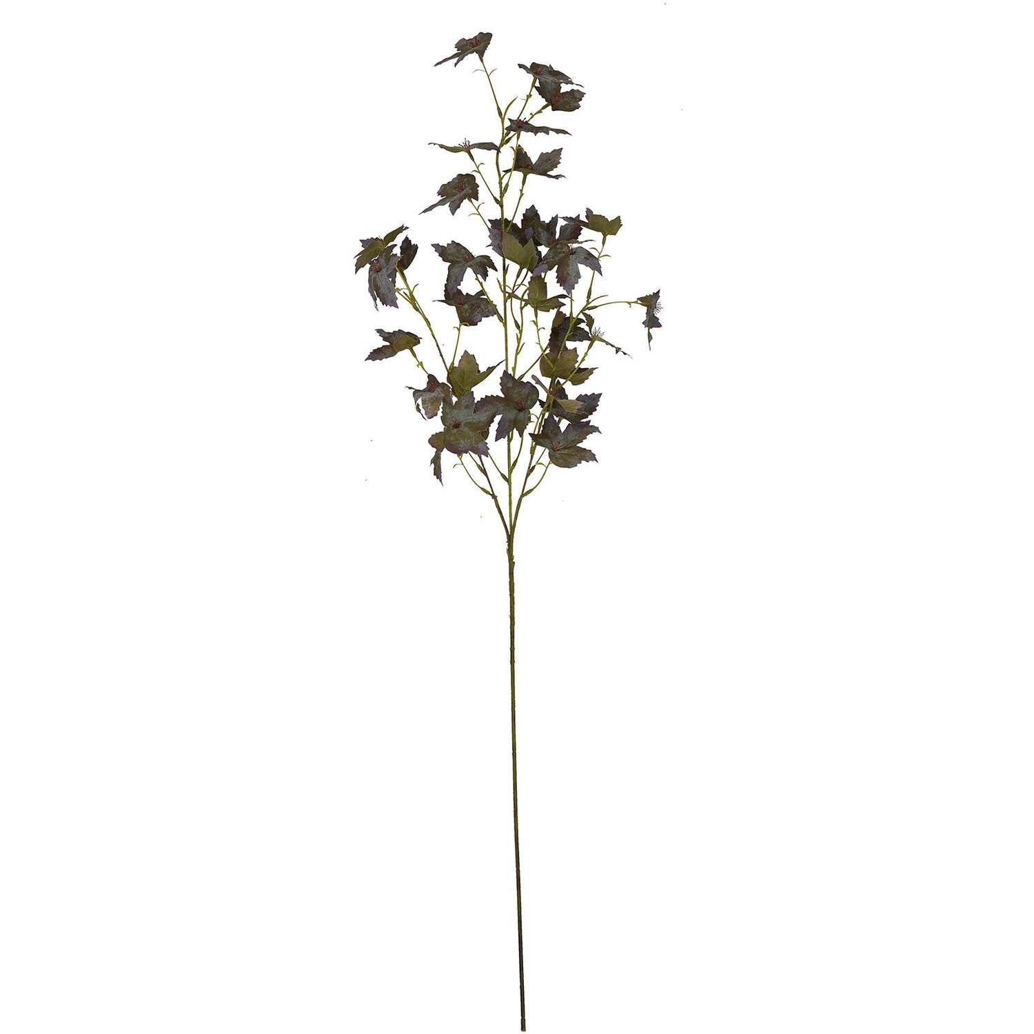 - Variegated Maple Leaf - Image 1