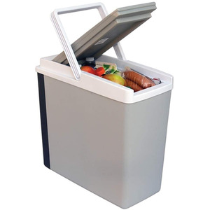 Koolatron 12V Electric Cool Box 42L Portable Cooler Warmer Camping Car Fridge