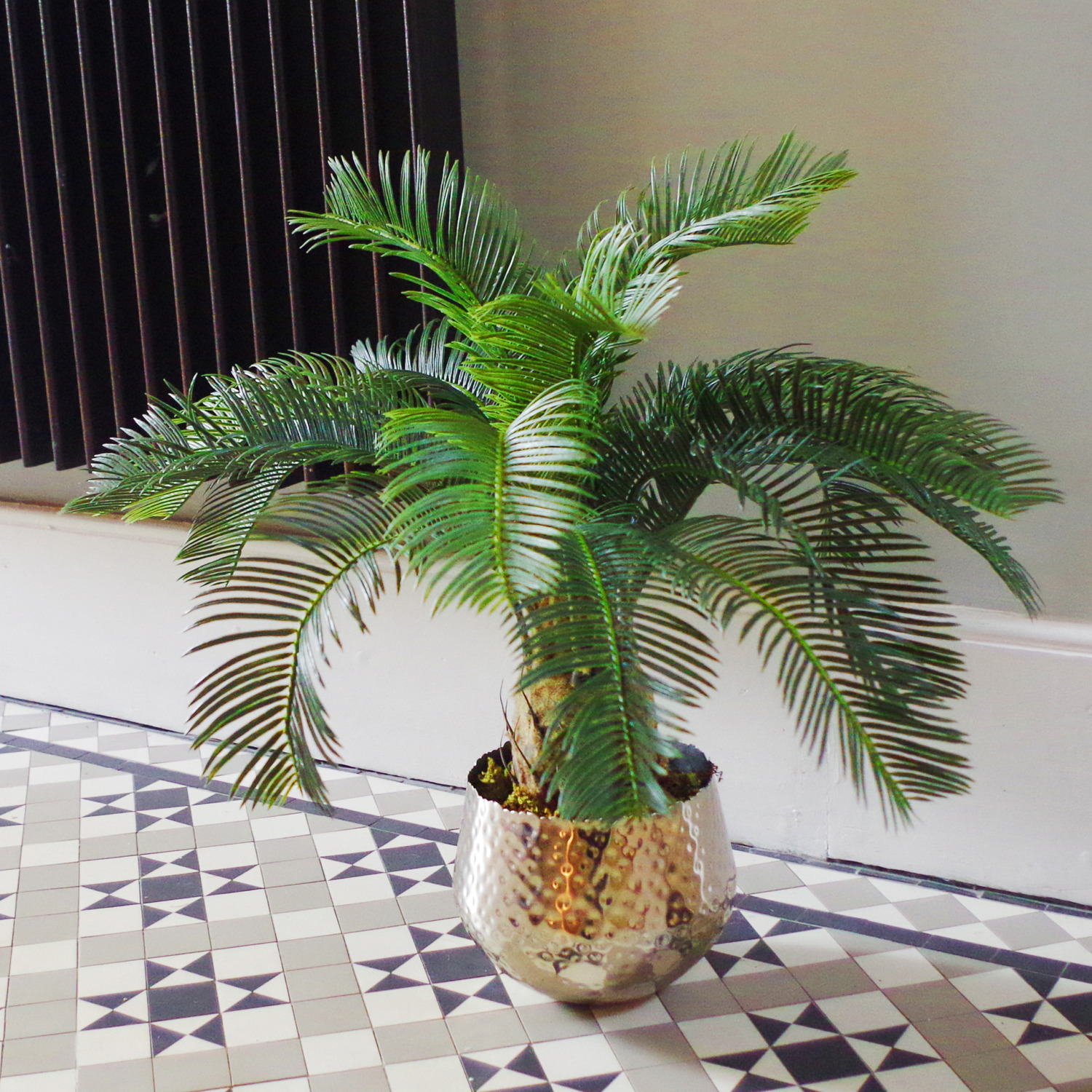 Leaf Cycas Palm Plant Artificial Tropical Tree - Green / 60Cm