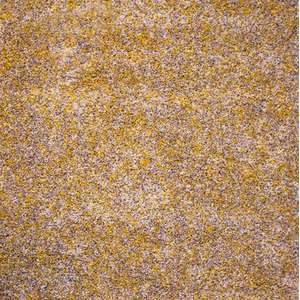 Super Soft Mustard Beige Mottled Shaggy Area Rug