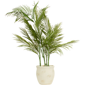Palm in Cement Pot 100cm