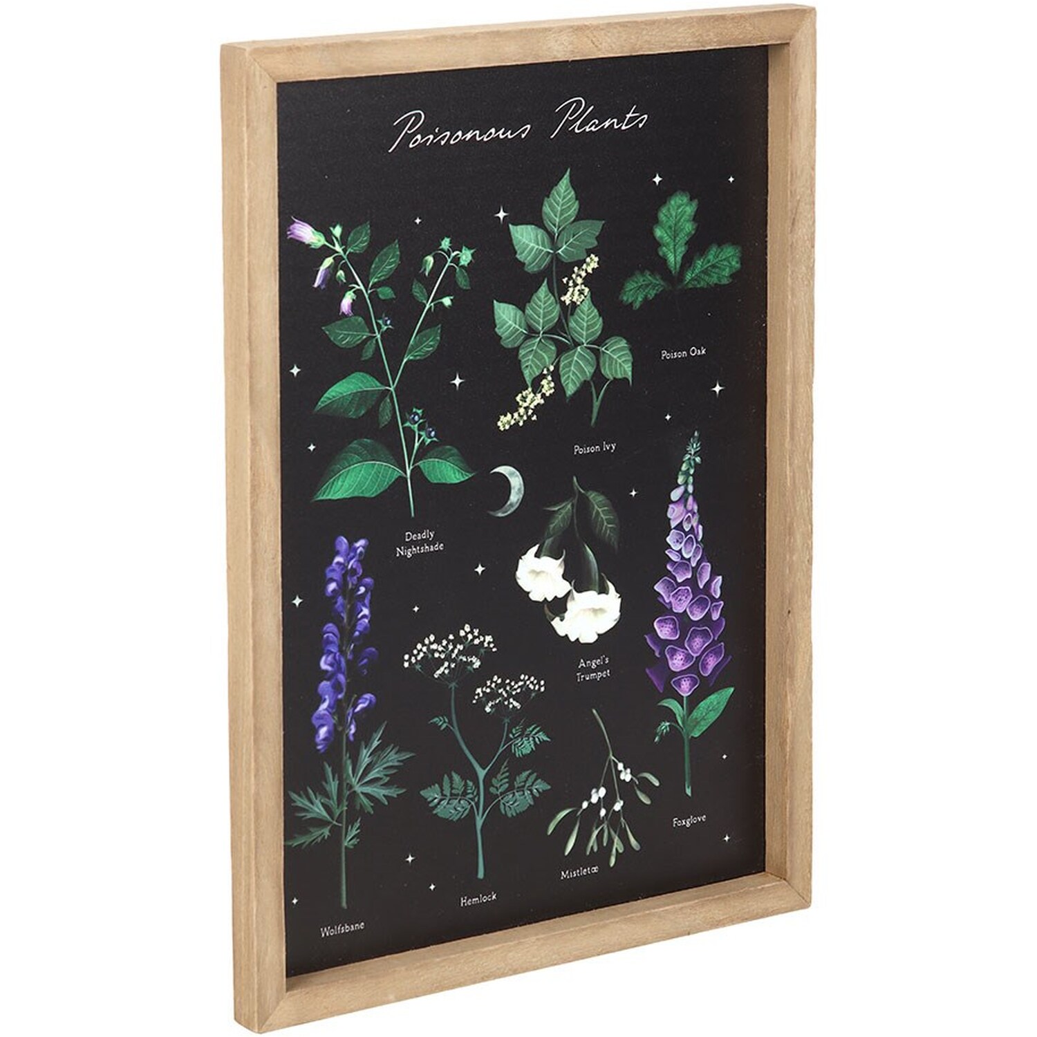 Poisonous Plants Framed Wall Art Print - Black