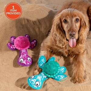 Turtle with Rubber Shell Dog Toy
